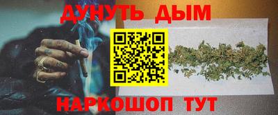 спиды Кинель