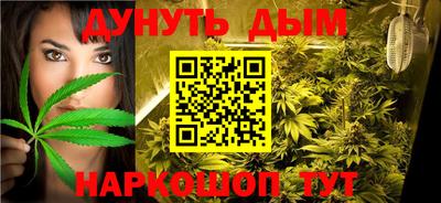 трава Кингисепп