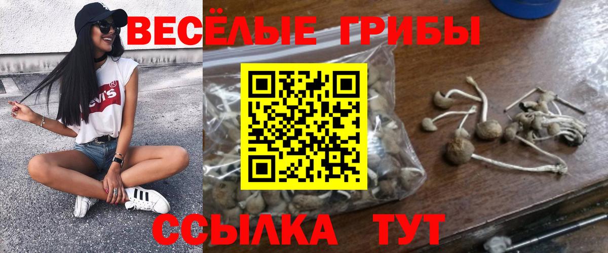 Псилоцибиновые грибы MAGIC MUSHROOMS Кохма