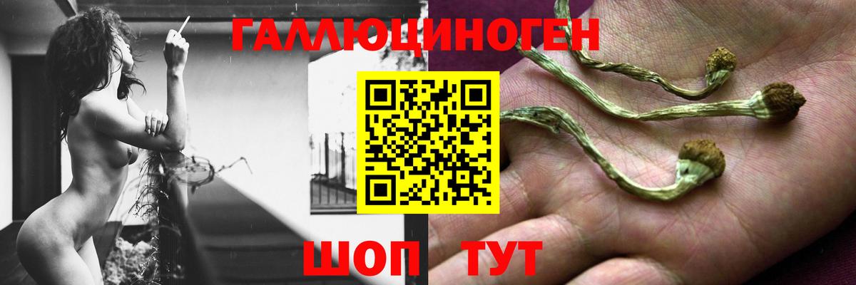Галлюциногенные грибы GOLDEN TEACHER  Галлюциногенные грибы Cubensis  Вход с VPN  Кохма 